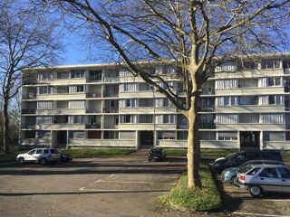  Appartement à louer 3 pièces 63 m²