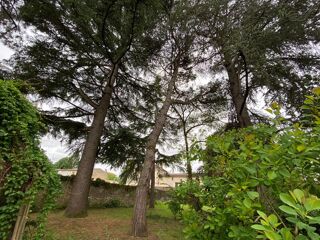  Maison � vendre 15 + pi�ces 700 m�