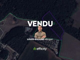  Terrain � vendre 13132 m�