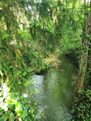  Moulin à vendre 15 + pièces 352 m² Perrusson