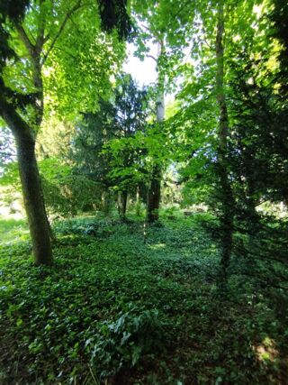  Maison � vendre 9 pi�ces 195 m�