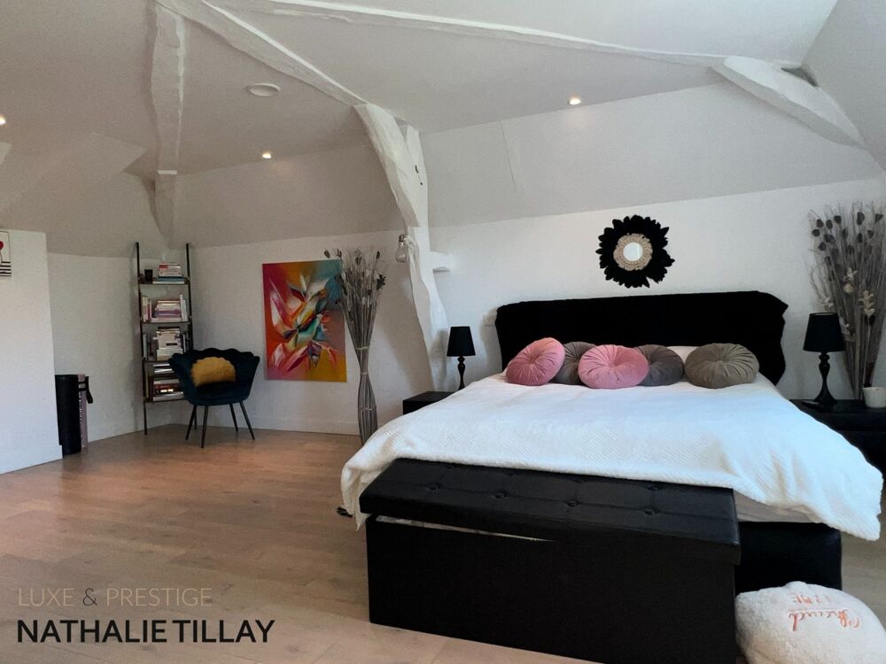 à vendre  Propriété/château Orléans (45000)
