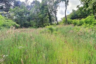  Terrain � vendre 1748 m�