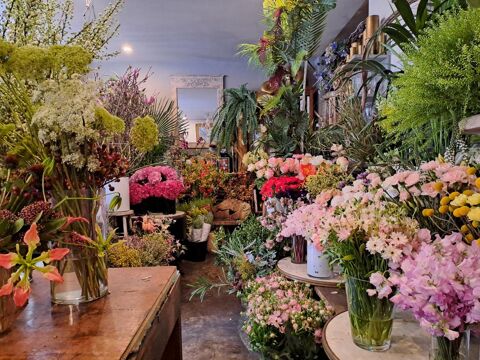 Commerces/Negoce 70000 75005 Paris