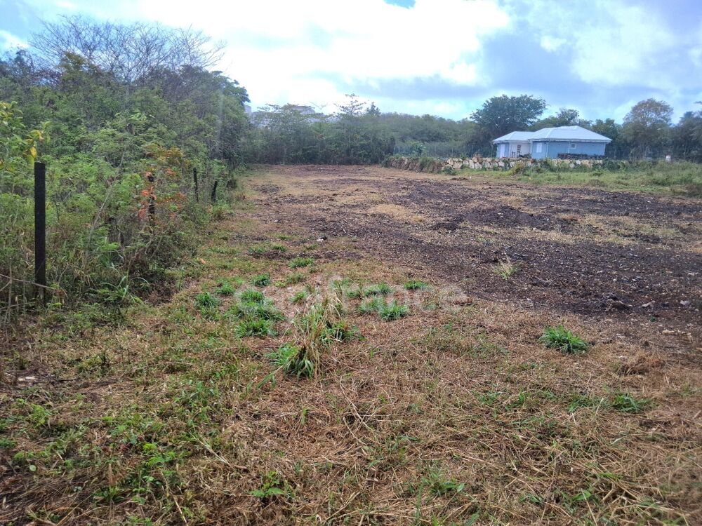 Vente Terrain Terrain à vendre  de 1811 m² sur LE MOULE (971) Le moule