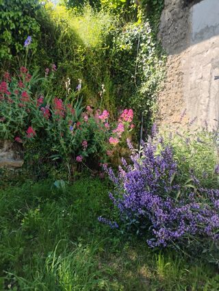  Maison à vendre 3 pièces 120 m²