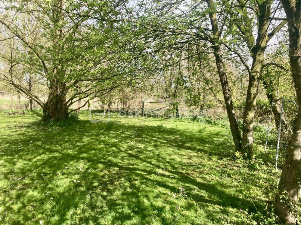 Vente Terrain Terrain constructible 1 772 m² en cœur de ville Montier en der