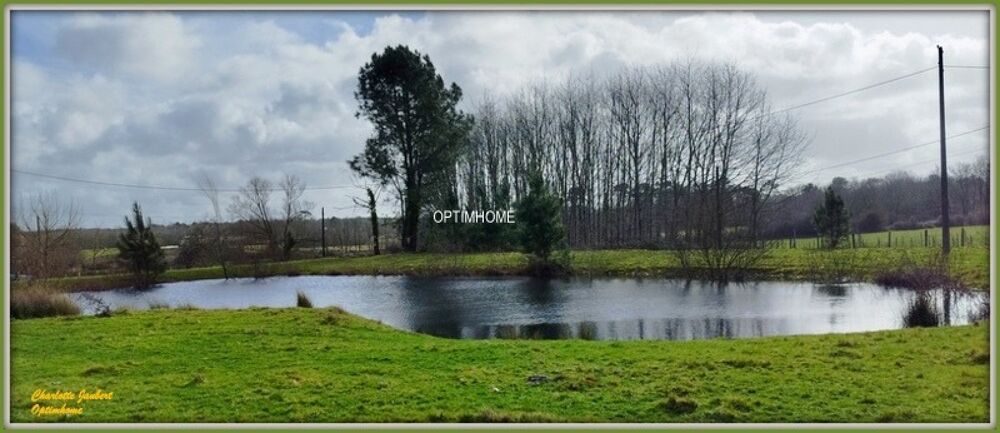 ensemble de 2 maisons+ dependances + grand terrain + point d'eau