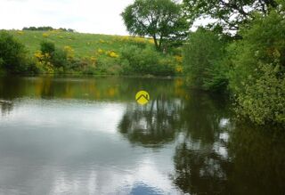  Terrain � vendre 113246 m�