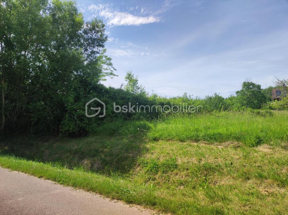 Vente Terrain ? Terrain constructible de 2 530 m² – Nature, calme et potentiel Saint florentin