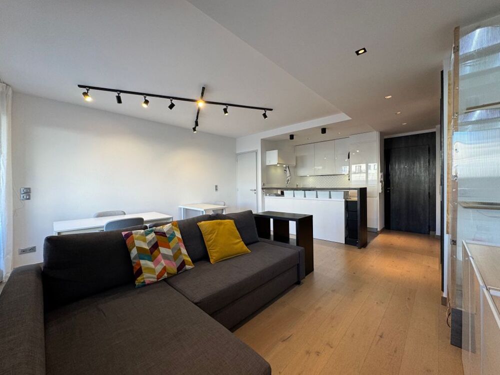 Location Appartement Appartement de 46m2 à louer sur Paris 15 Paris 15