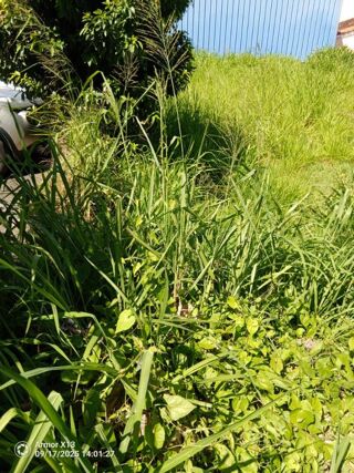  Terrain � vendre 556 m�