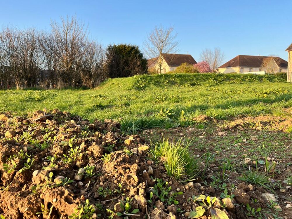 Vente Terrain TERRAIN 600m² FALAISE Falaise