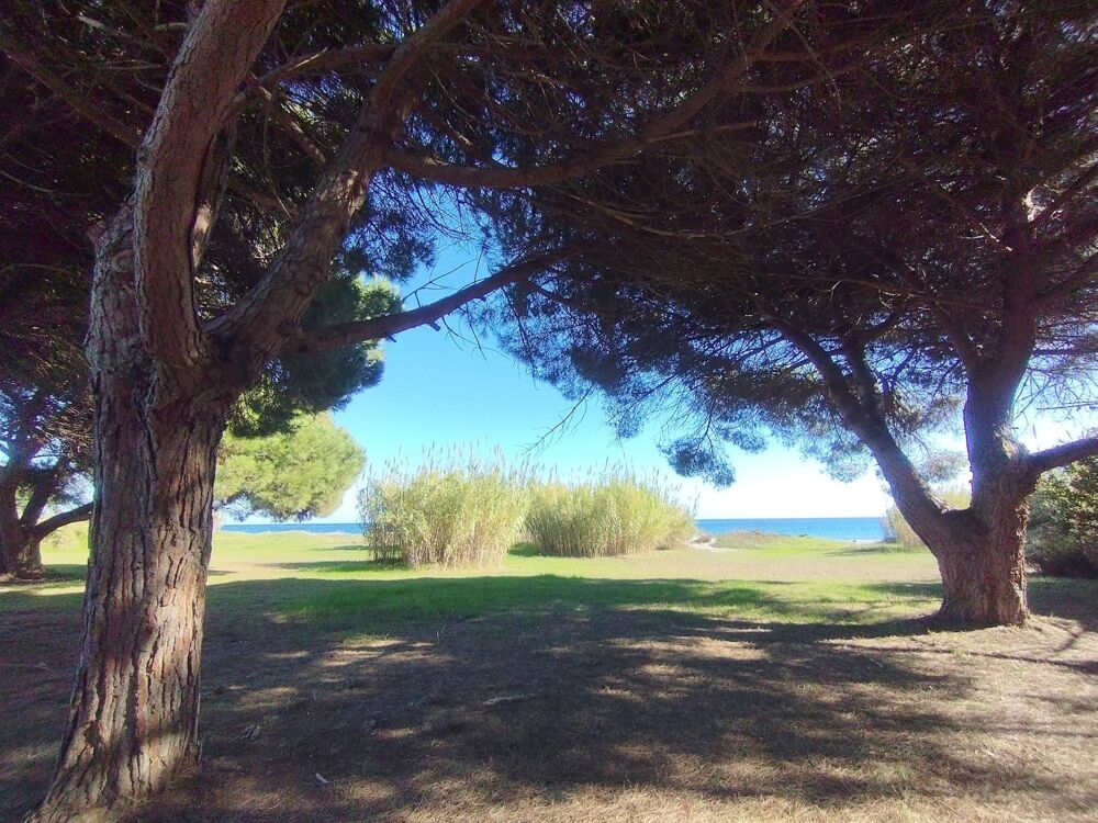 Vente Appartement Appartement T2, résidence bord de mer et piscine à POGGIO MEZZANA (HAUTE CORSE) Poggio mezzana