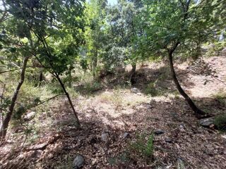  Terrain � vendre 2366 m�