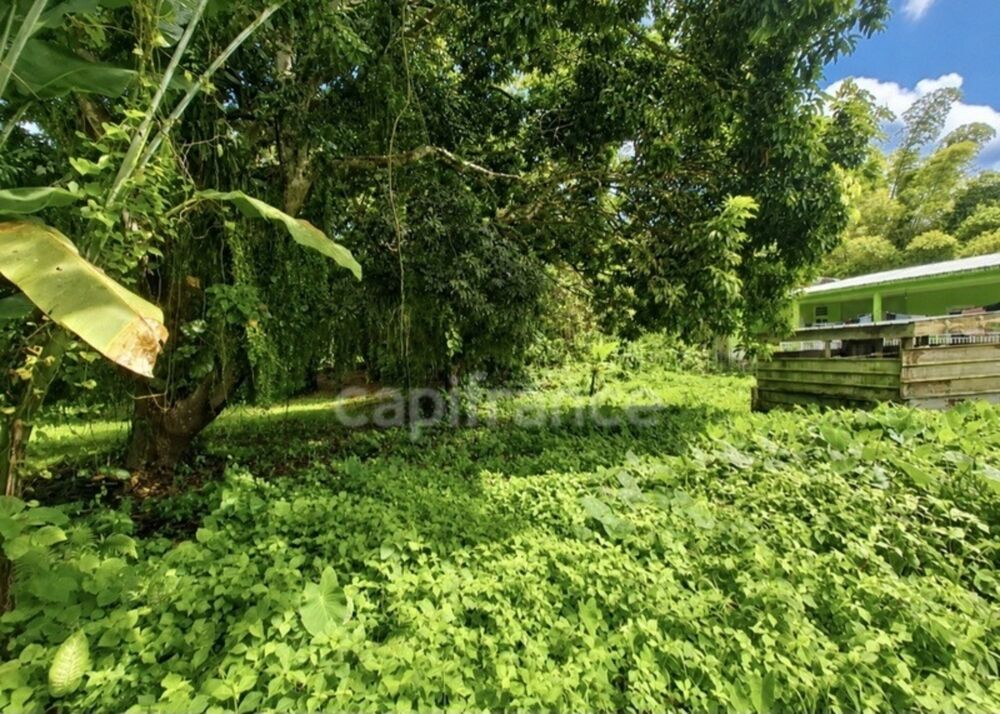 Vente Terrain A vendre - Terrain plat de 729 m² – Ajoupa-Bouillon – Secteur Adinet L ajoupa bouillon
