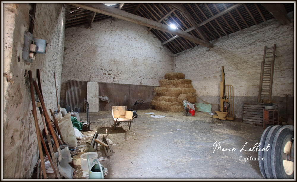 Corps de Ferme à vendre 9 pièces LA NEUVILLE SUR ESSONNE (45), Grange, Terrain Clos