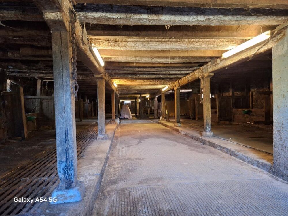 Vente Remise/Grange Grange + petit bâtiment Ally