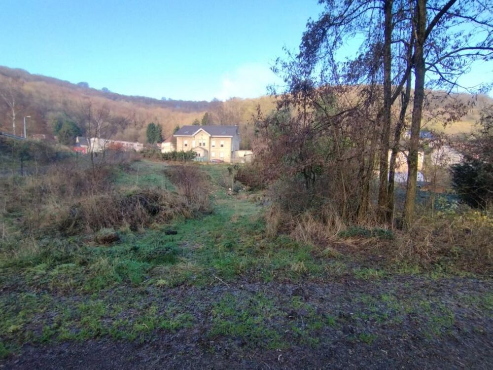 Vente Terrain Terrain libre de constructeur 13 ares Algrange