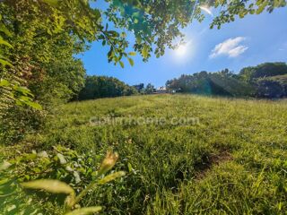 Terrain à vendre 1650 m²
