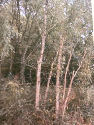  Terrain � vendre 16160 m�