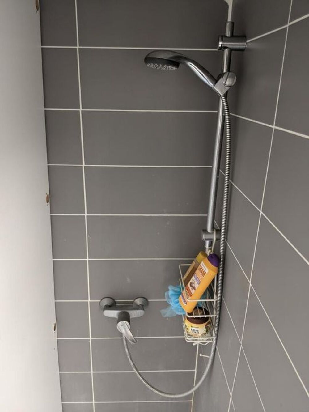 Location Appartement Appartement de 22m2 à louer sur Grenoble Grenoble