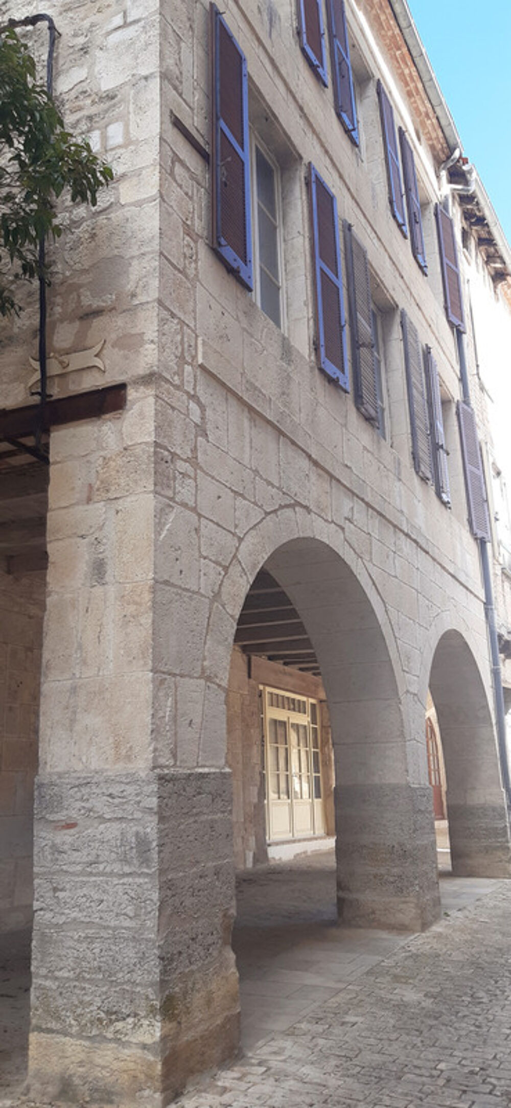 Maison à vendre 10 pièces MONTPEZAT DE QUERCY (82)