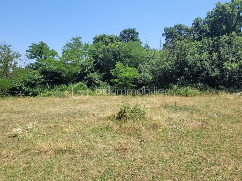 Vente Terrain Terrain VIABILISE de 1363 m² libre de constructeur Saint paul sur save