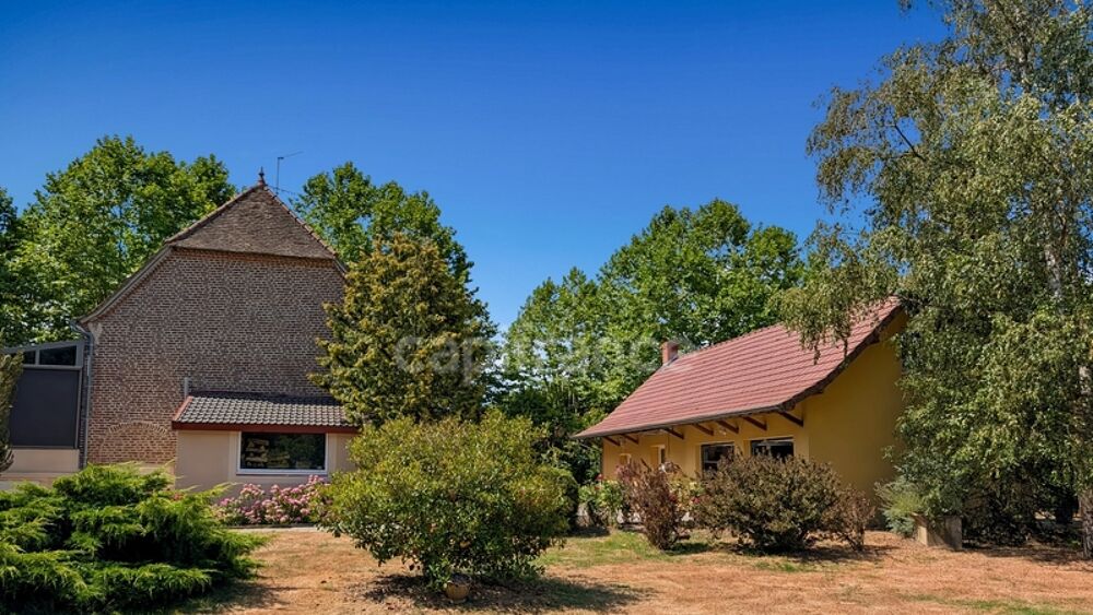 Dpt Saône et Loire (71), à vendre à 15 mn de St Marcel Villa de 163 m² et Maison ou Gite de 95 m² terrain de 4000 m²