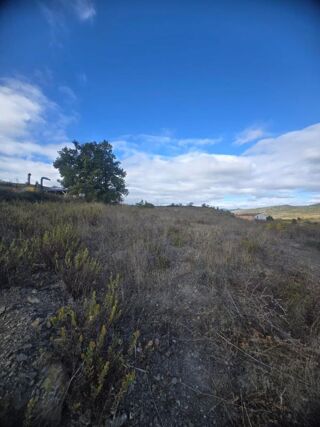  Terrain � vendre 2463 m�