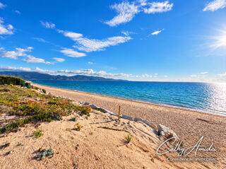 Vente Appartement OLMETO-PLAGE (CORSE) : A vendre Studio en front de mer, terrasse, dernier étage, accès direct à la plage Olmeto