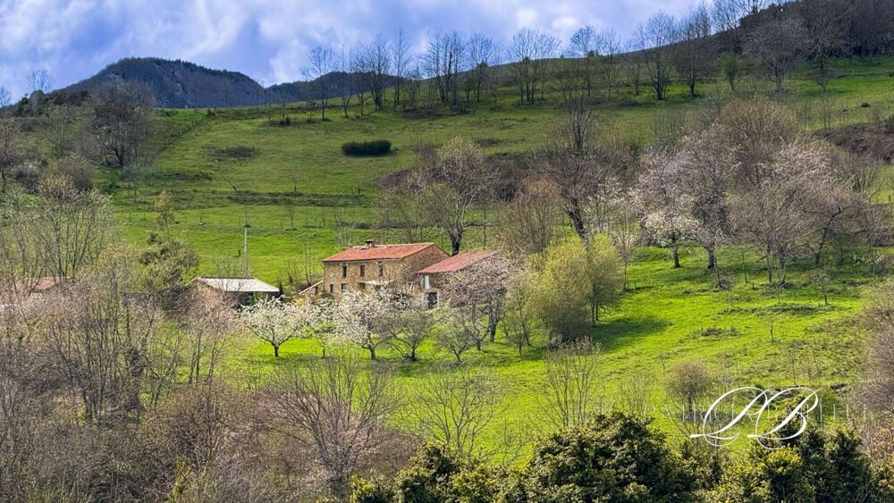 � vendre  Maison Am�lie-les-Bains-Palalda (66110)