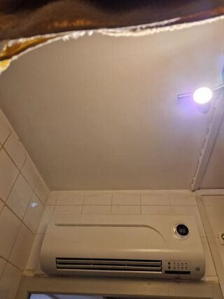  Appartement à louer 1 pièce 16 m²
