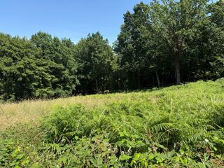  Terrain à vendre 3250 m²