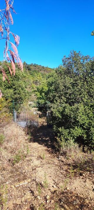  Terrain � vendre 4296 m�