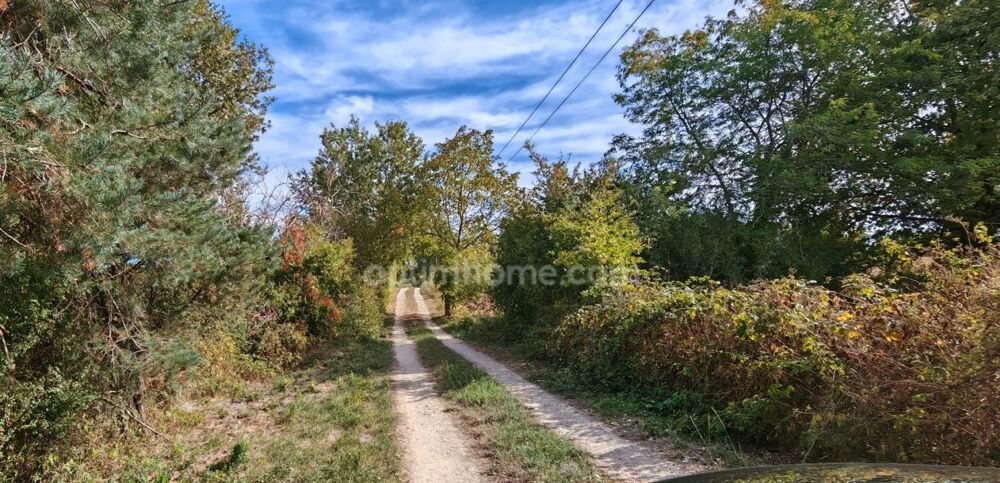 Vente Maison Propriété privée de caractère avec étang, prairies et hébergements sur plus de 7 hectares Courrensan