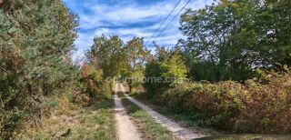  Maison à vendre 7 pièces 242 m²