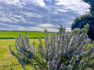  Maison  vendre 6 pices 197 m