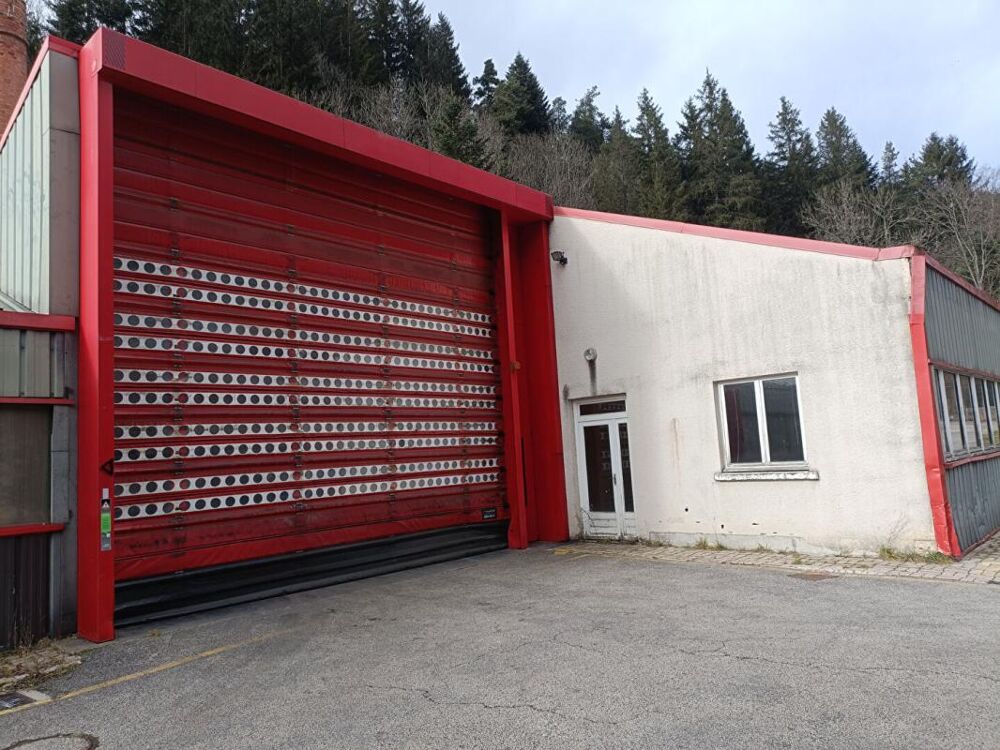 Vente Immeuble Dunières  43220 1170m² de  locaux d'activité comprenant des bureaux, un bâtiment industriel et des locaux à usage de stockage Dunieres