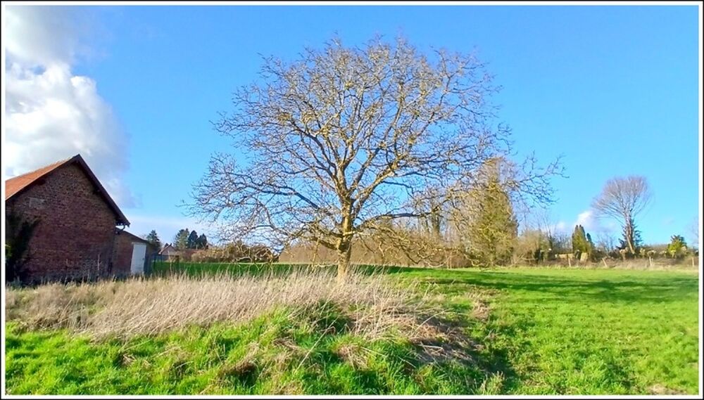 Vente Terrain Terrain à bâtir à BIENVILLERS-AU-BOIS Bienvillers au bois