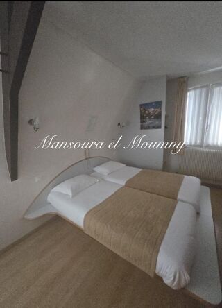  H�tel Particulier � vendre 15 + pi�ces 600 m�