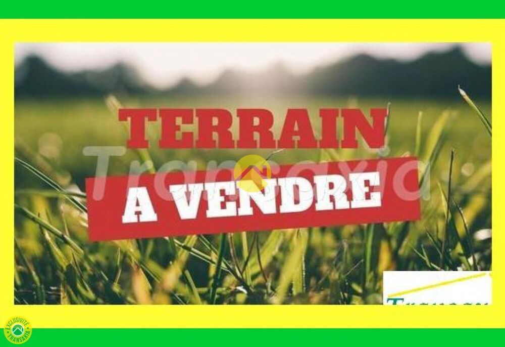 Vente Terrain terrain  btir 1670m Mehun sur yevre