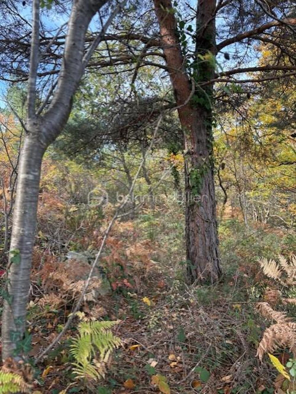 Vente Terrain Terrain 10850 m2 Rabouillet Rabouillet