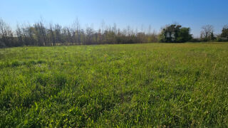  Terrain à vendre 982 m²