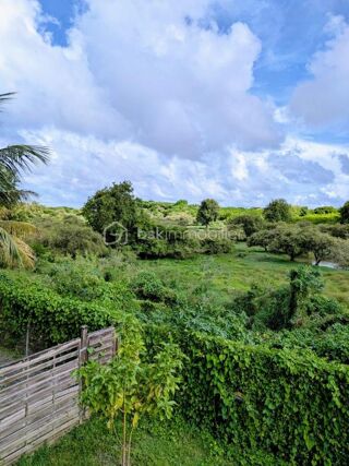  Appartement � vendre 3 pi�ces 60 m�