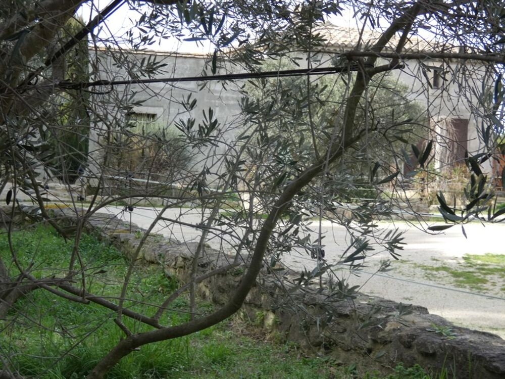 � vendre  Maison Saint-R�my-de-Provence (13210)