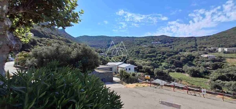 à vendre  Maison Centuri (20238)