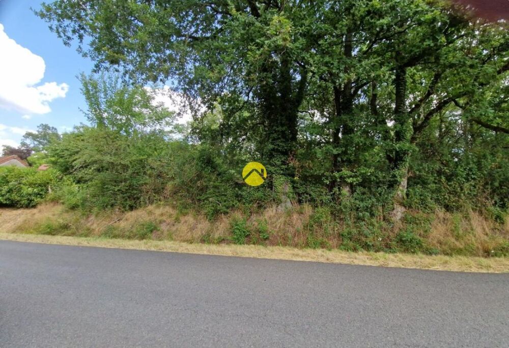 Vente Terrain Terrain constructible de 2505 m² La guerche sur l aubois