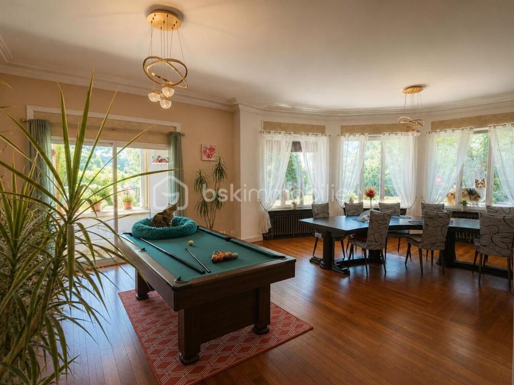 Vente Propriété/Château CHAMBRES D'HÔTES 300 M2 Saint pons de thomieres