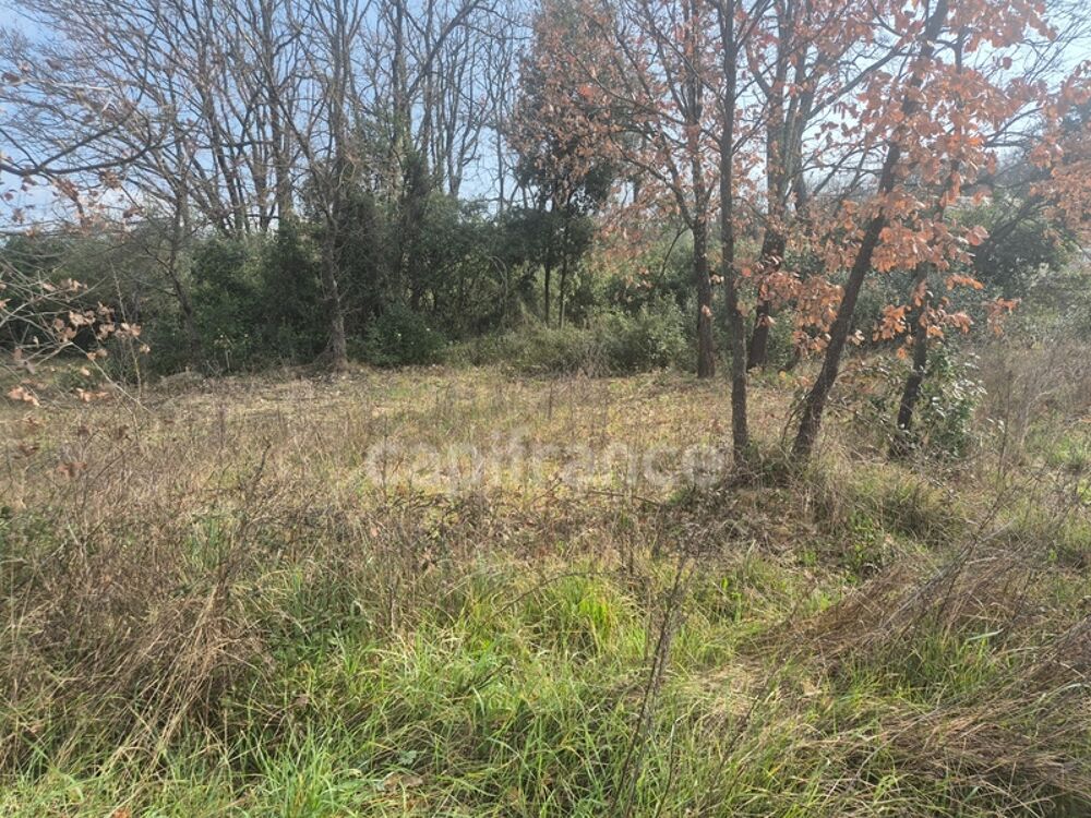 Vente Terrain Terrain à vendre Vezenobres Vezenobres